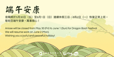 2025 Dragon Boat Festival